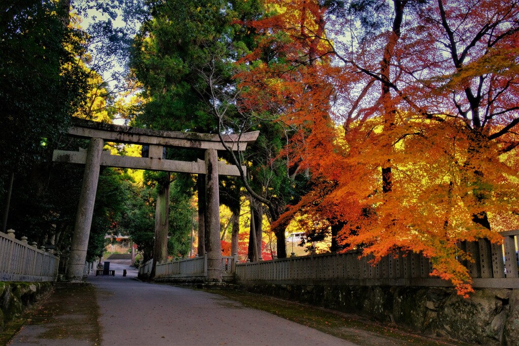 大瀧神社参道