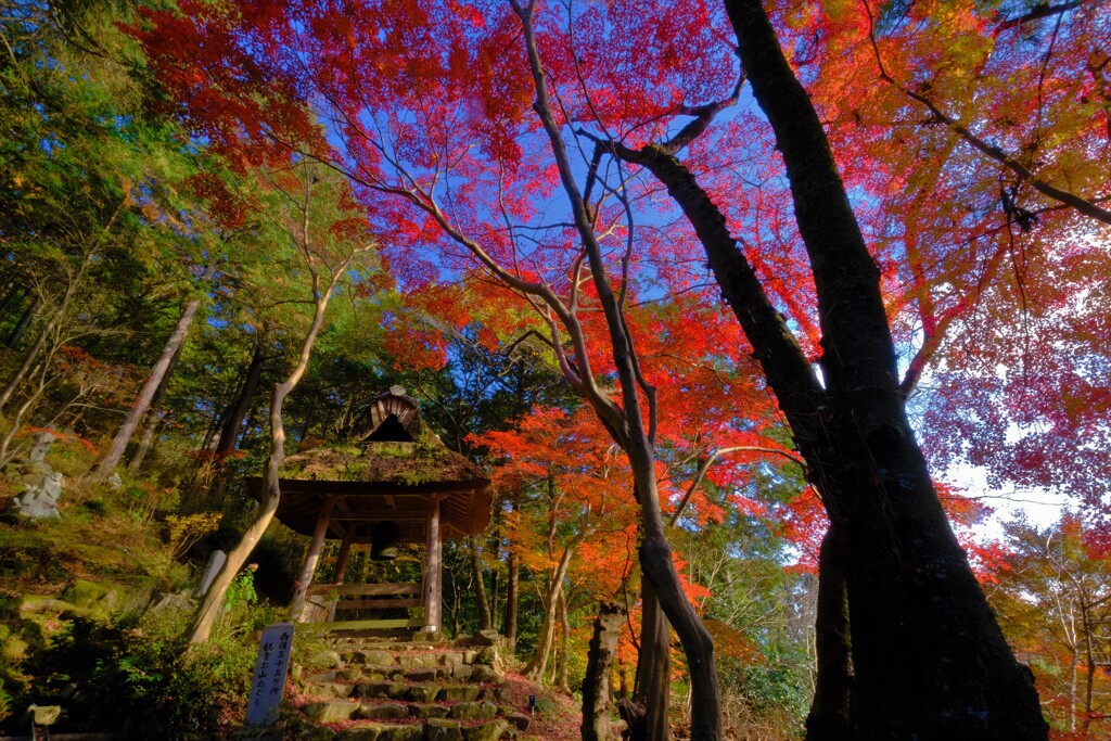 延寿寺残り紅葉　７