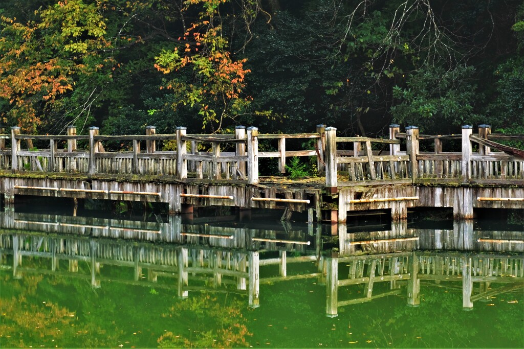朽ちゆく桟橋