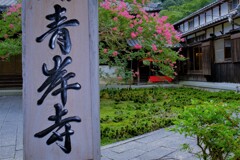 山門の百日紅　３-３