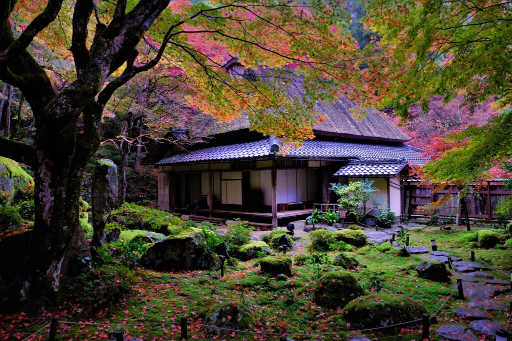 石の寺「教林坊」紅葉　７