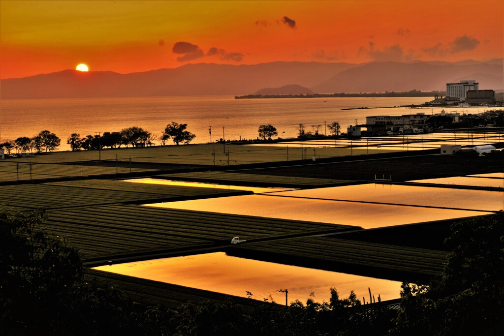 湖辺の夕代田　６