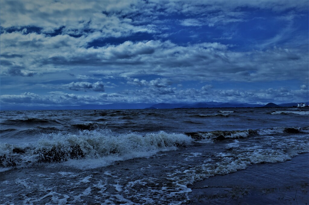 琵琶湖の盆景