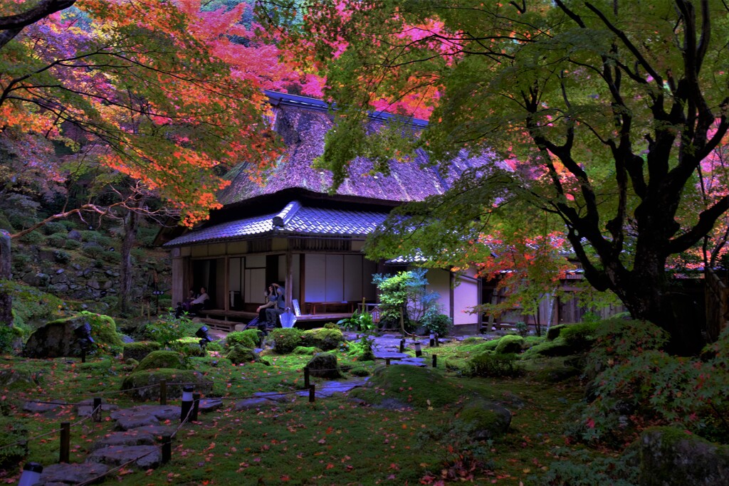 石の寺「教林坊」紅葉　６