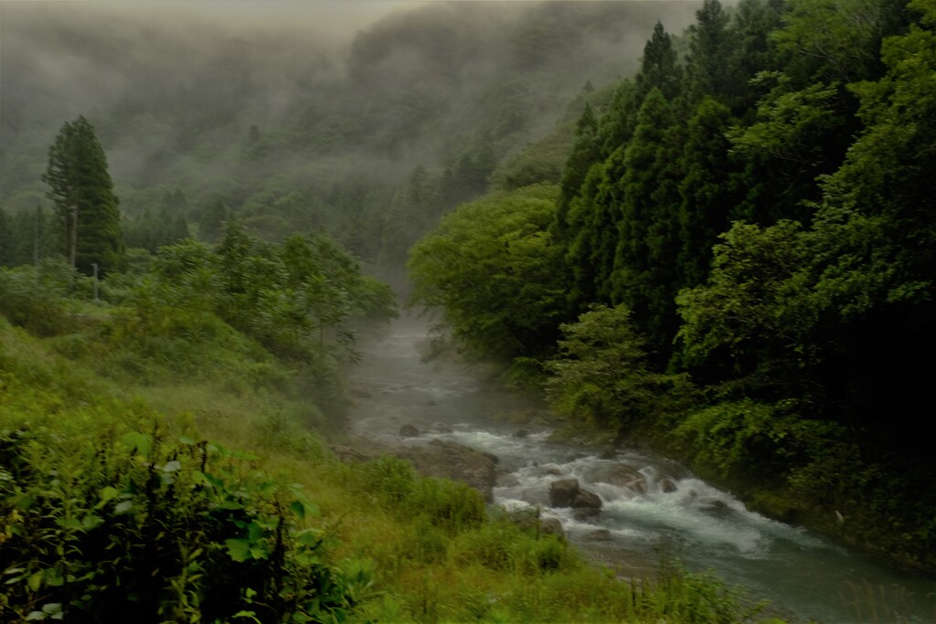 山間の川霧