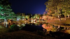 彦根城大名庭園・玄宮園ライトアップ　１