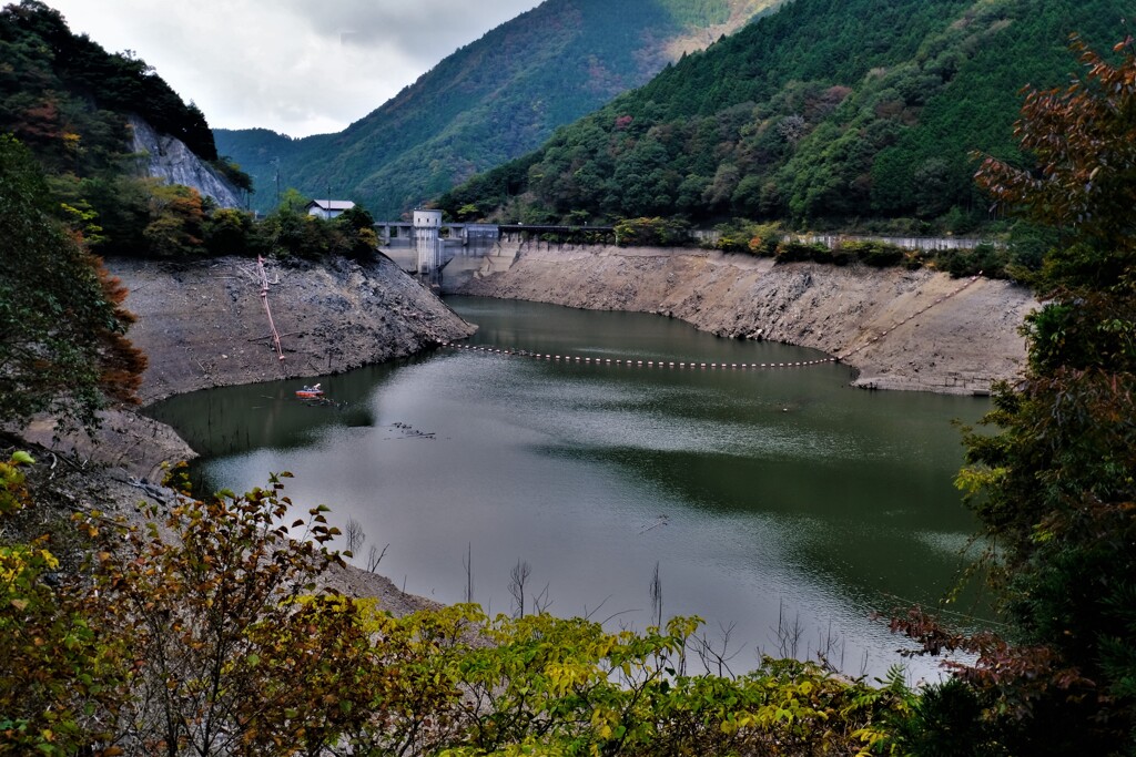 野洲川ダム湖　１