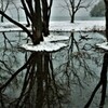 小さな森の水辺の冬物語　５