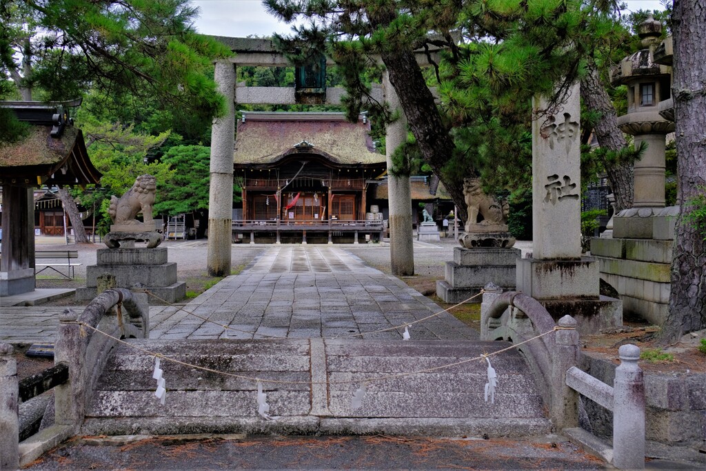 長浜八幡宮　５-１