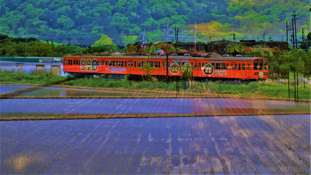 水田ガチャコン(近江鉄道)　５