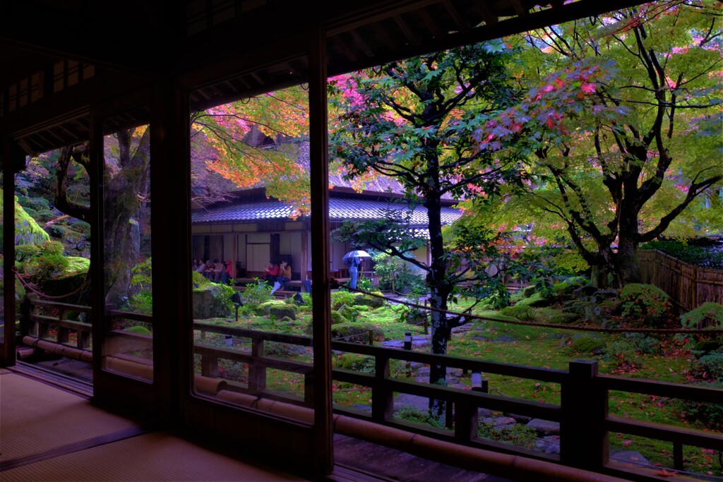 石の寺「教林坊」紅葉　５