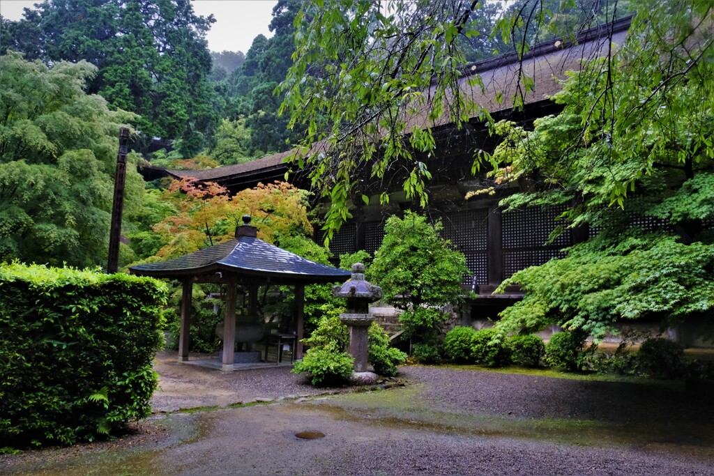 梅雨間の金剛輪寺　６