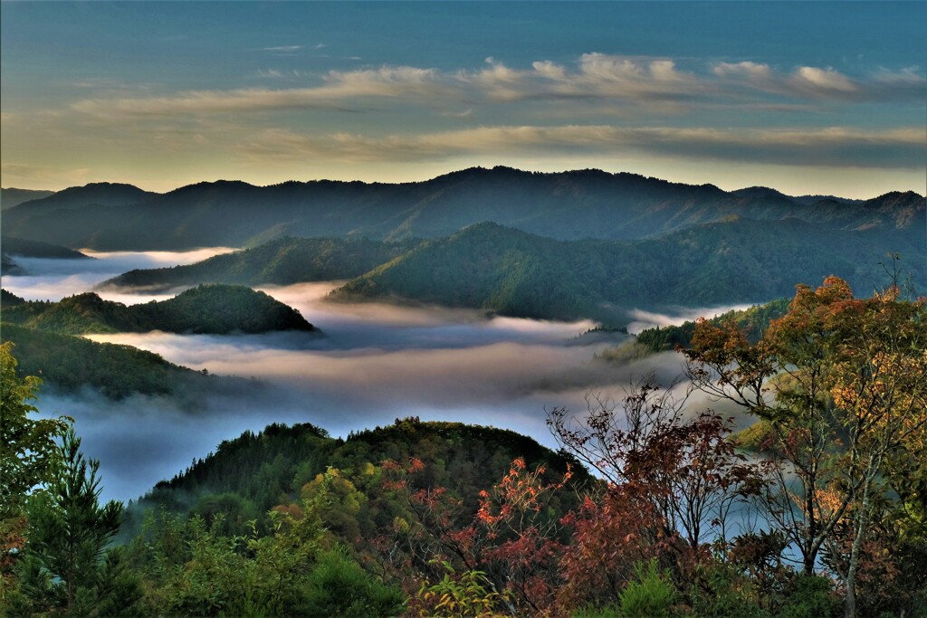 小入谷峠の朝景雲海　９