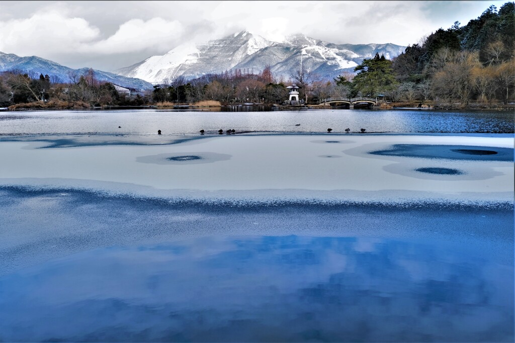 薄氷の三島池　４