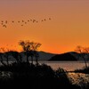 夕翔