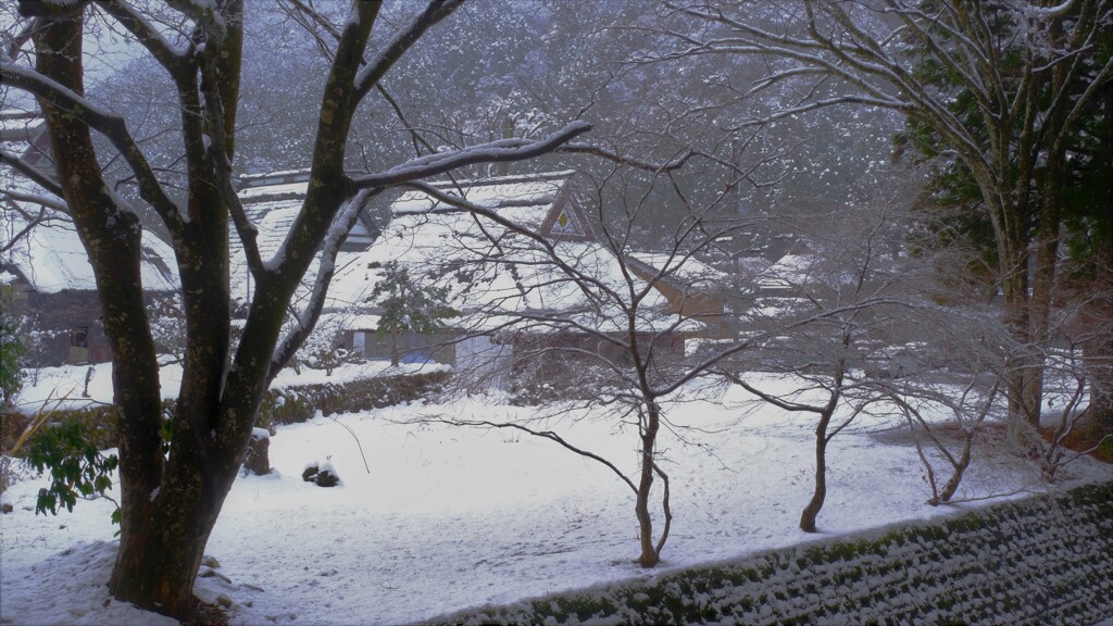 冬里山