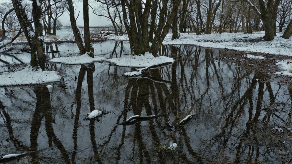 小さな森の水辺の冬物語　６