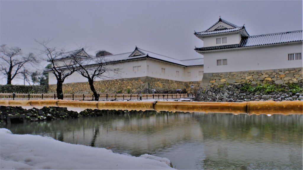 彦根城濠端寸景　Ⅲ