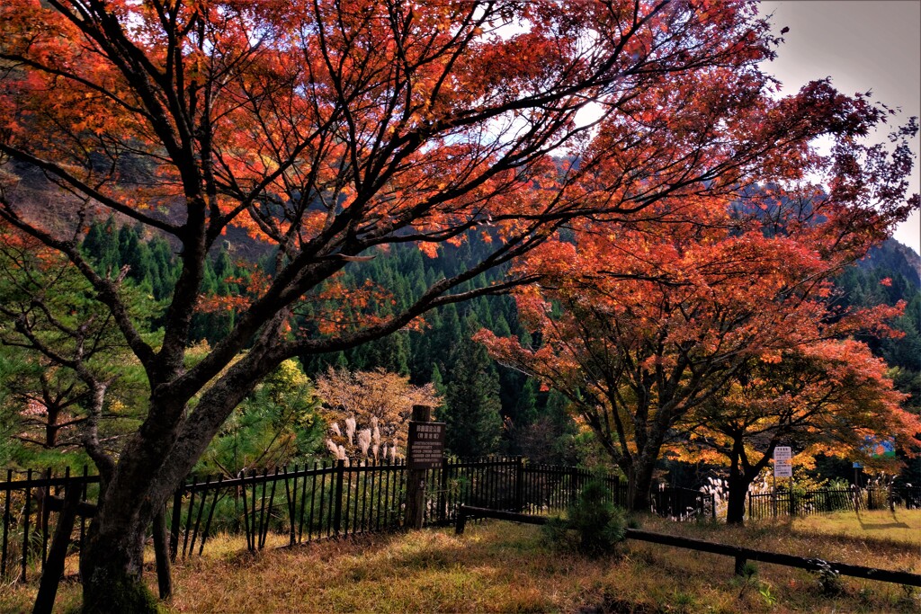山間の秋景公園　５