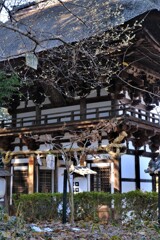 沙沙貴神社楼門