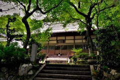 新緑の延寿寺　１