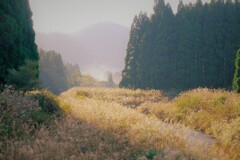 山間の秋景