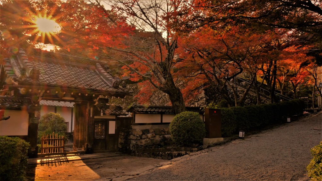 西教寺紅葉参道　３