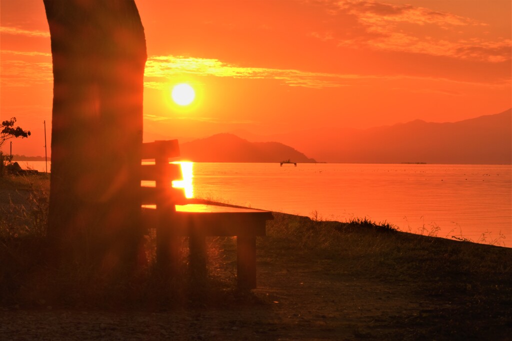 夕照ベンチ