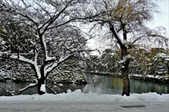 彦根城濠端雪景色　４