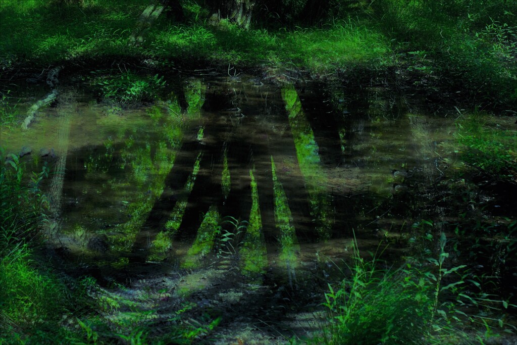 小さな森の水辺物語　３