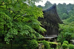 梅雨間の金剛輪寺　４