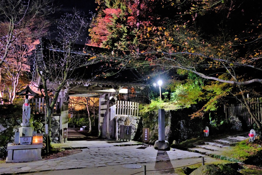 湖東三山金剛輪寺のライトアップ　３