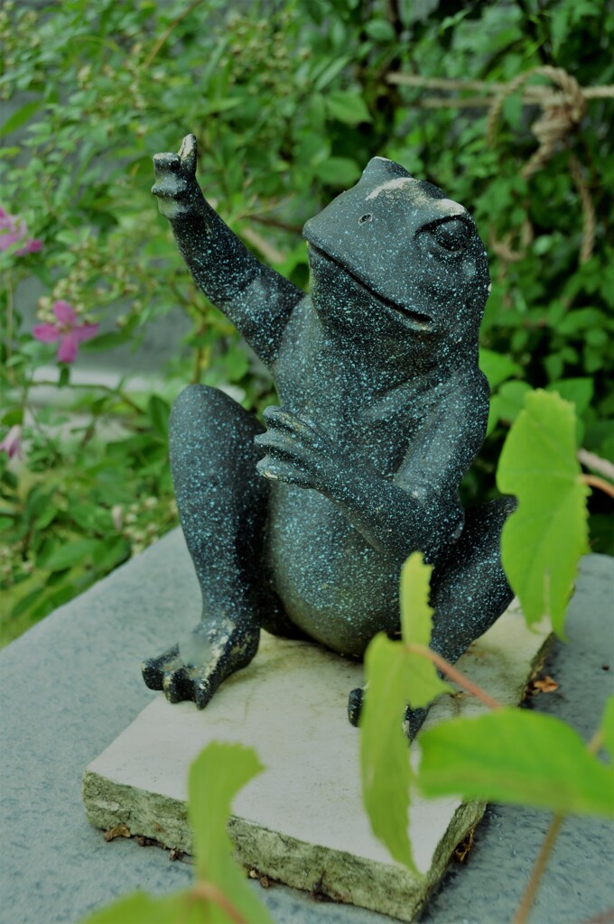 ウェルカムカエル