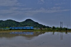 水田ガチャコン(近江鉄道)　１