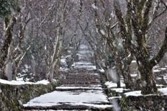 鶏足寺　雪景　１