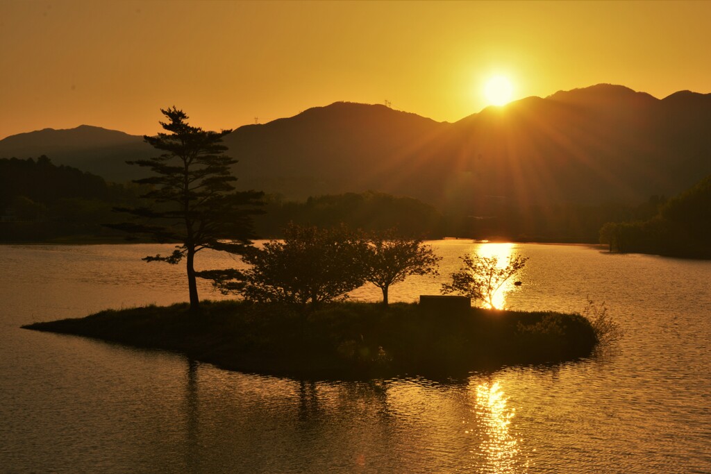日野川ダム朝日寸景