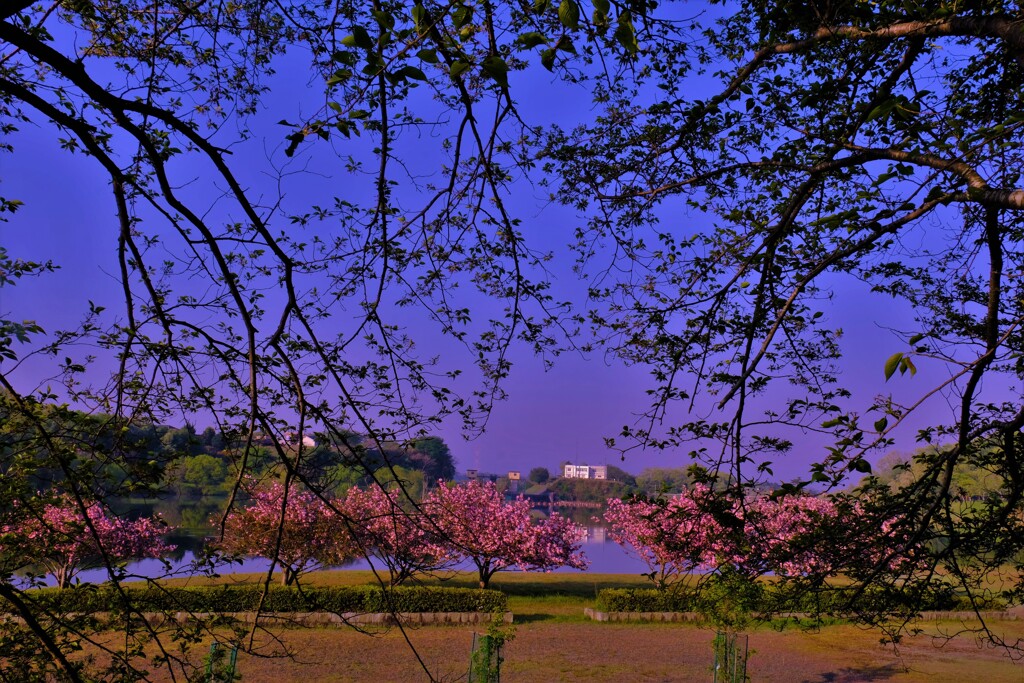 日野川ダム親水公園　２
