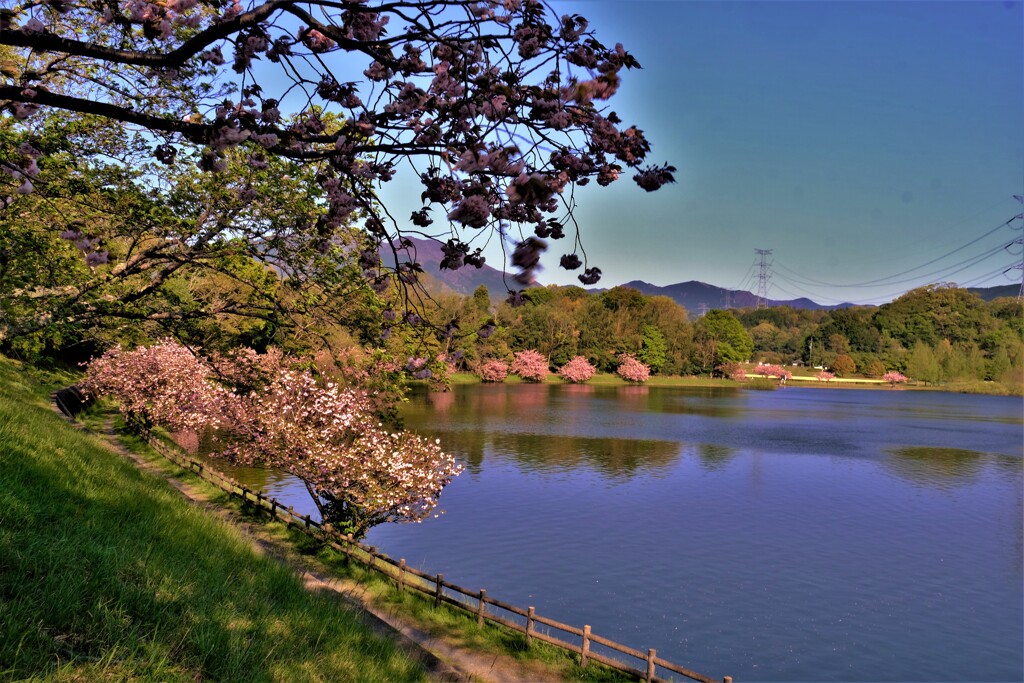 日野川ダム親水公園　５