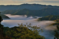 小入谷峠の朝景雲海　６