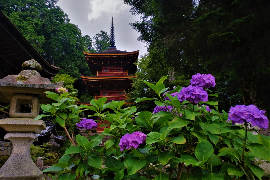 西国札所長命寺　１