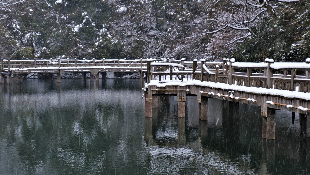 もみじ池冬景　２
