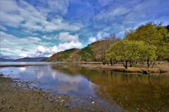 奥琵琶湖の湖辺　Ⅴ