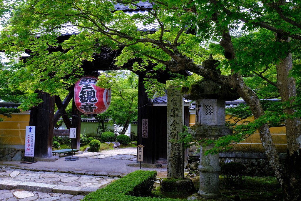 新緑の湖東三山金剛輪寺　１