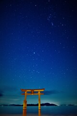星屑の湖中鳥居