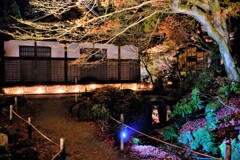 湖東三山金剛輪寺のライトアップ　５