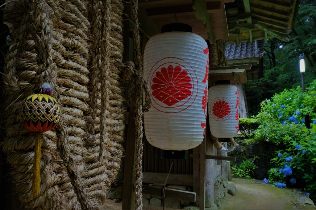 梅雨間の金剛輪寺　8