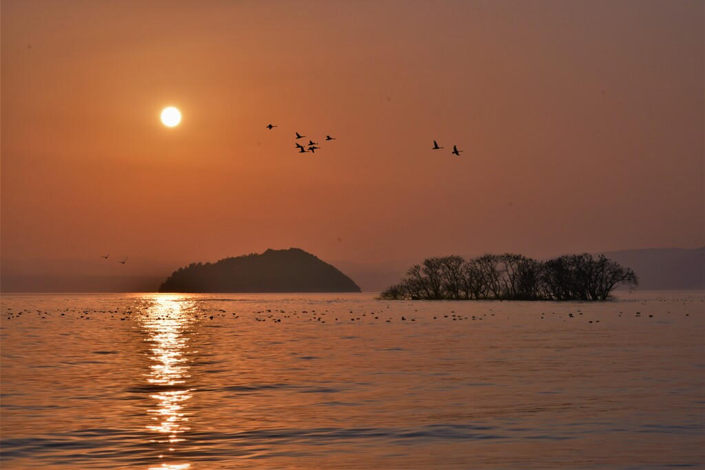 悠久夕日