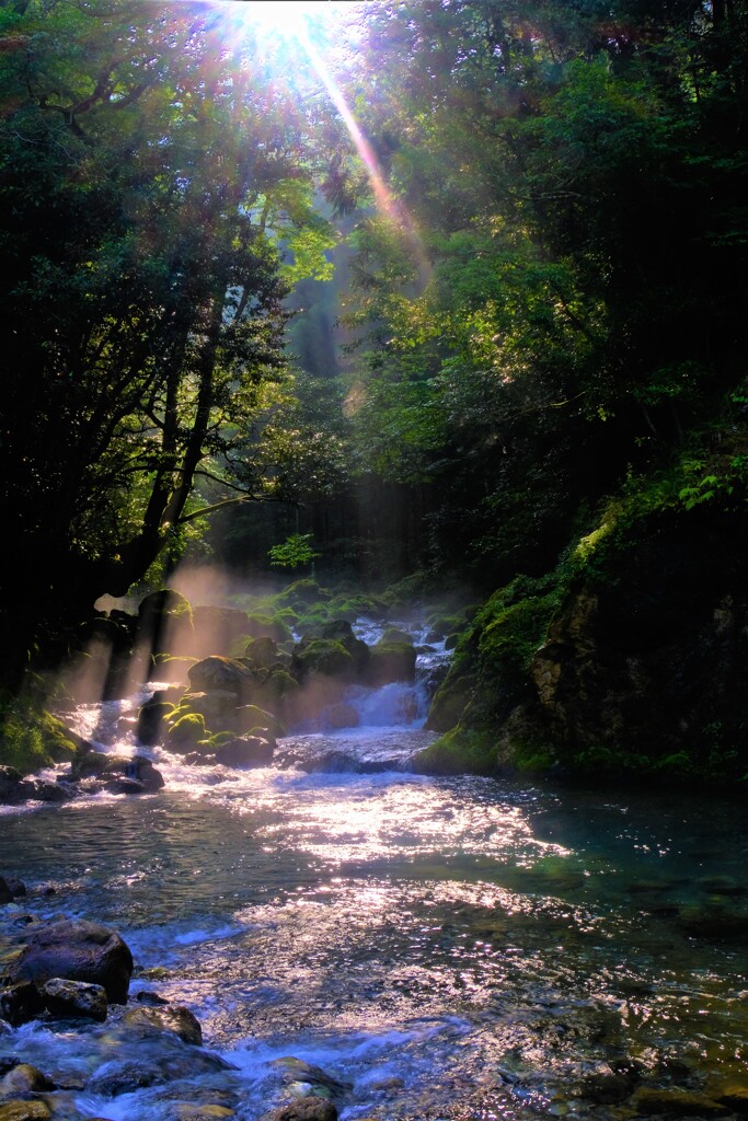 芹川朝光