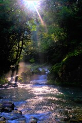 芹川朝光