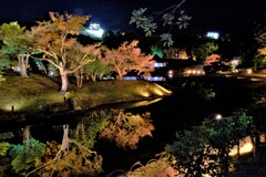 彦根城大名庭園・玄宮園ライトアップ　５